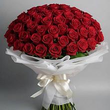 Букет 101 Красная роза Блэк Мэджик в Гамово