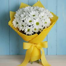 Букет цветов из:  Хризантемы в Гамово