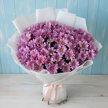 Букет цветов из:  Хризантемы в Гамово