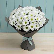 Букет цветов из:  Хризантемы #REPLACE_PRED# Гамово