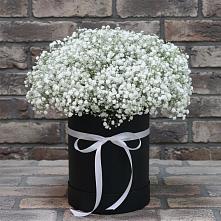 Цветочная композиция из Гипсофила в шляпной коробке #REPLACE_PRED# Гамово